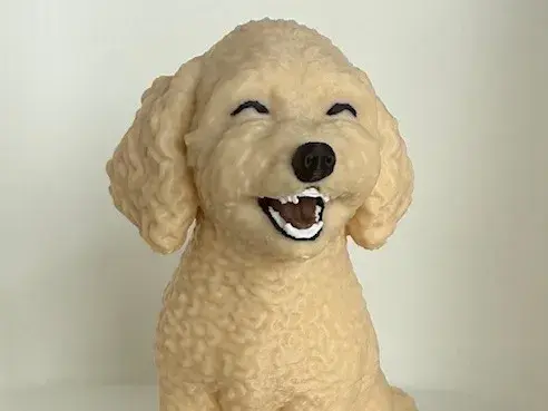 Boopables - Goofy Doodles - Penny - Teeth Face