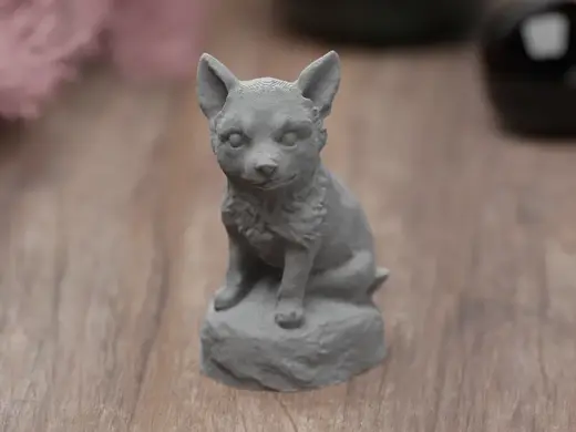 Cute Dog sitting an Stone smiling happy