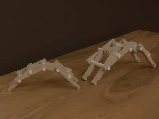 Leonardo da Vinci's bridge