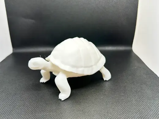 Tortoise