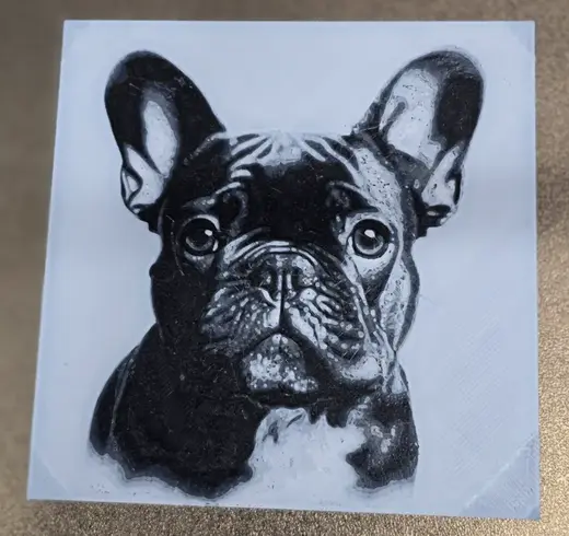 French Bulldog