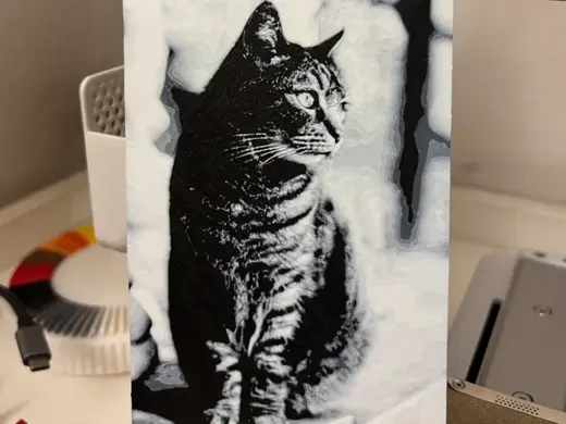Gatto Europeo