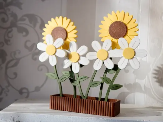 Blumen im Topf Sonnenblume Gänseblümchen Flower