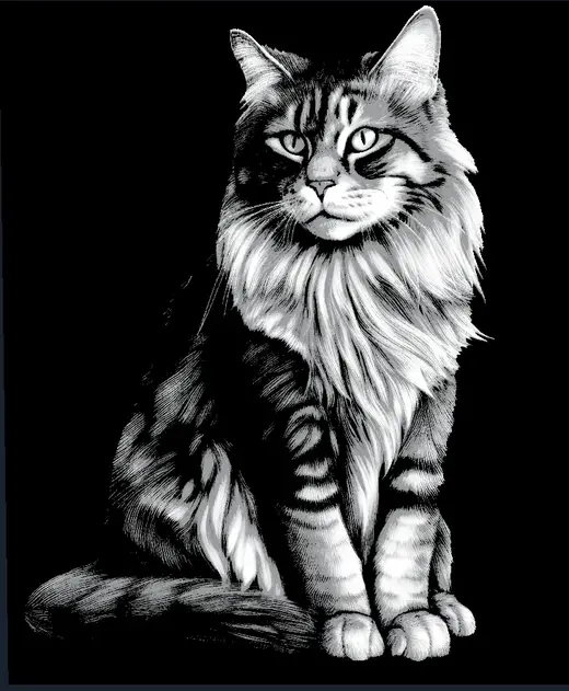 Hueforge Mainecoon Cat in Black White Photography | Animal 3D Wall Art Decorations Portrait