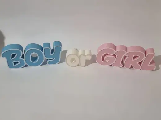 BOY or GIRL - GENDER REVEAL