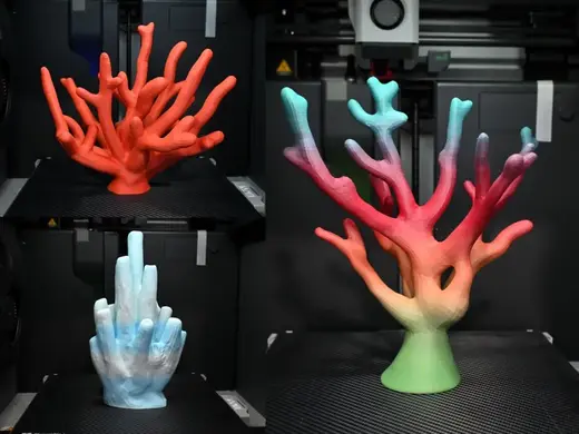 Assorted Coral
