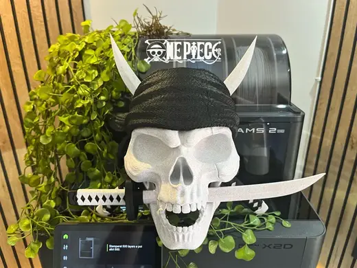 Jolly Roger di Zoro - ONE PIECE