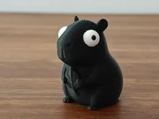 Cartoon Capybara with Big Googly Eyes