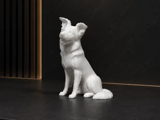 Border Collie - Animal - Dog - Decor