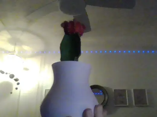 simple, small vase