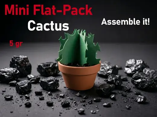Mini Flat-Pack Cactus - Il cactus assemblabile PIP