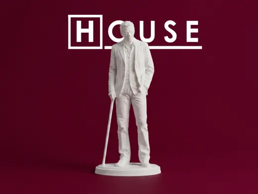 Dr. Gregory House from House M.D. Figure