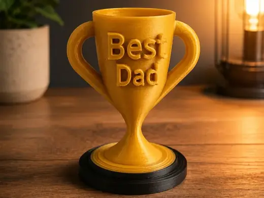 Best Dad trophy _ Father's Day gift