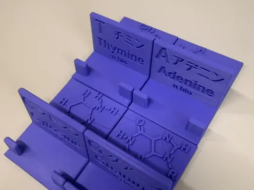 DNA Nucleobase Phone Stand