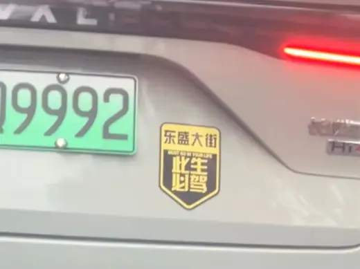 此生必驾东盛大街(可自定义街道)