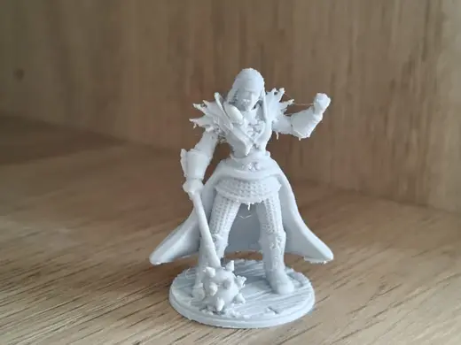 DnD half-orc paladin mini 25mm