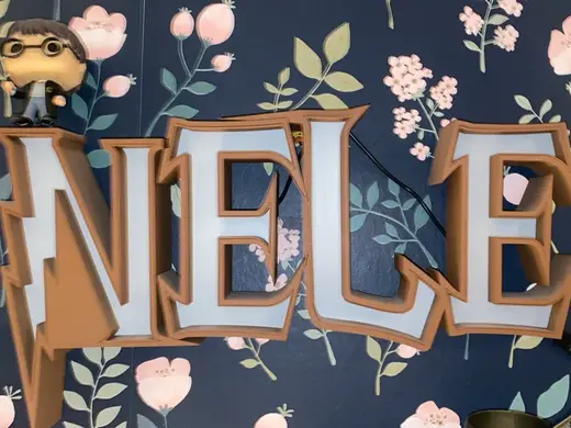 NELE Namenschild LED Harry Potter