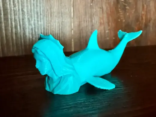 Orcamadonna Statua Sacra Goliardica Pinne Orca