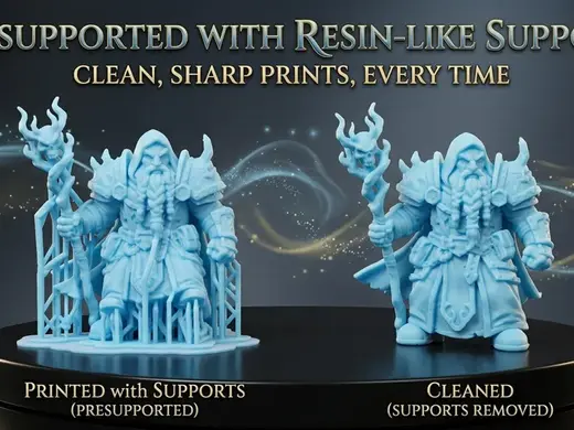 DnD dwarf mage (resin like supports for fdm)