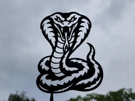 Cobra Snake 2D Wall Art