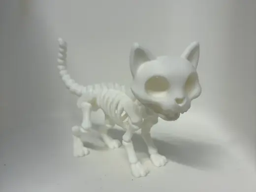 Skellington Cat Model