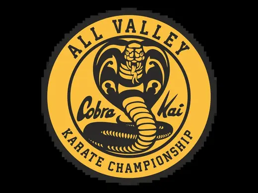 Cobra Kai All Valley Karate Championship Coaster