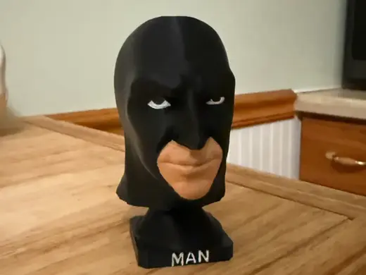 Man - Batman Meme Statue
