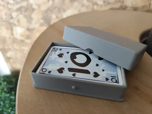 Playing card case (Obal na hrací karty)