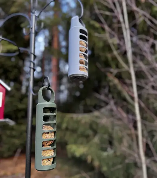 Bird feeder (fat ball)