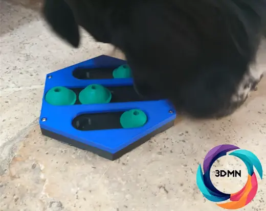 Dog Treat Puzzle