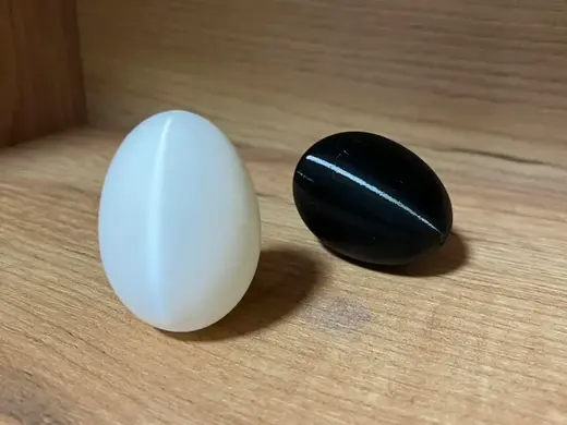 Fake egg