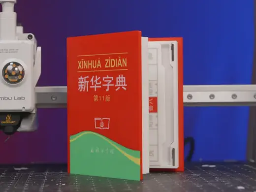 《新华字典》斗兽棋