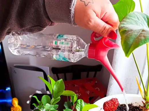 Watering bottle cap