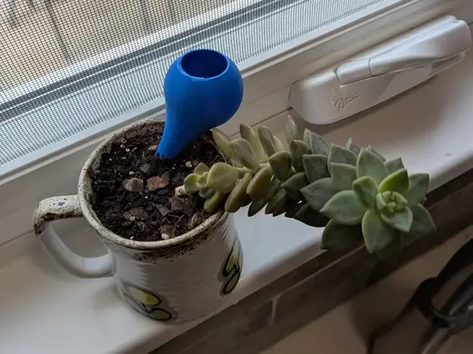 Tiny Indoor/Outdoor Self- Watering Plant Globe