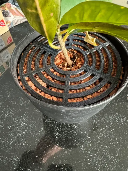 Blumentopf Schutz / Flowerpot protection
