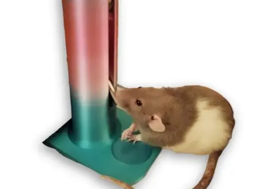 Water Bottle Holder for Rodents – Trixie 125 ml