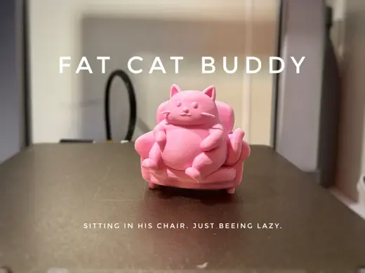 Cozy Fat Cat Buddy