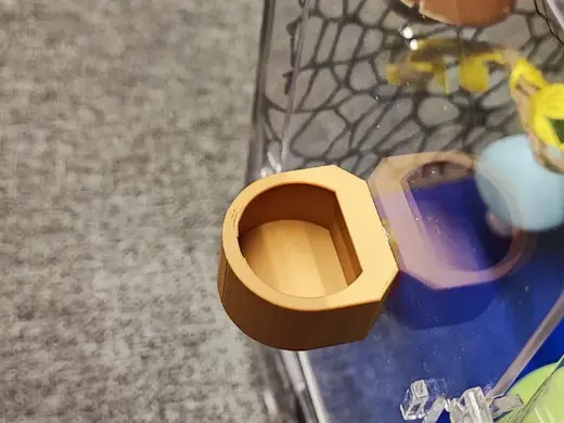 Magnetischer Futternapf für Springspinne
