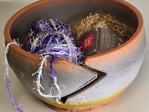 Ammonite Fossil Yarn Bowl