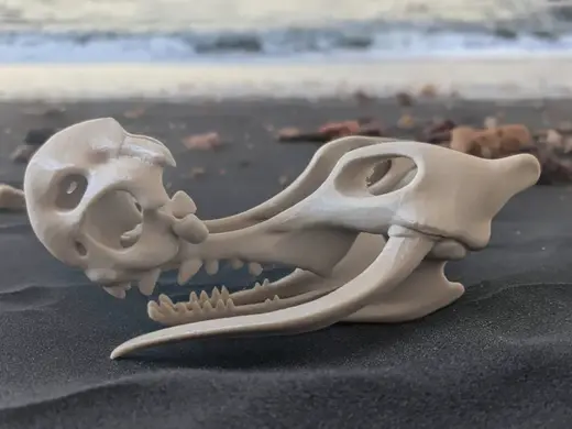 Wahrk Skull RIVEN
