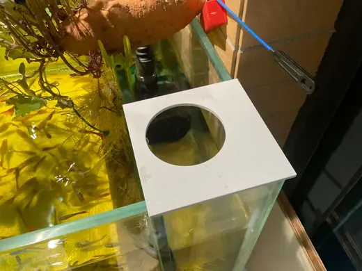 10玻璃鱼缸水培架