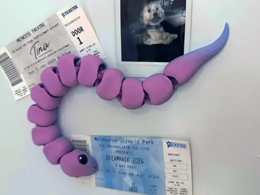 Magnetic Articulated Snake - Fridge Friend!