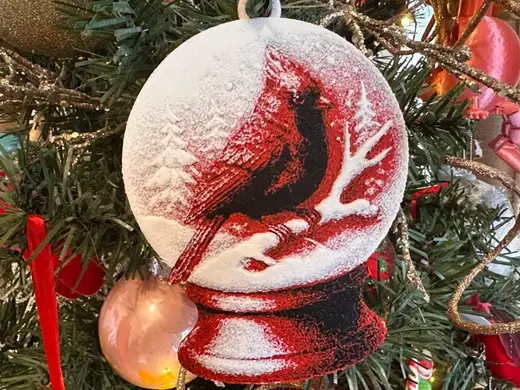 Cardinal Snow globe Ornament and Earrings
