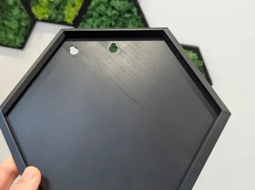 Hexagon 2.0 für Moosbilder