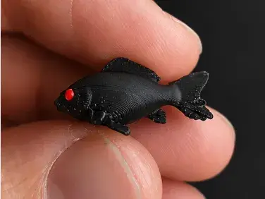 World's smallest carp (no AMS)