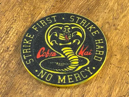 Cobra Kai Coaster