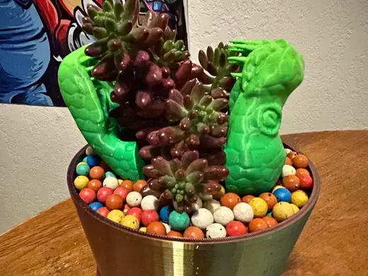 Snake Succulent/Cactus planter