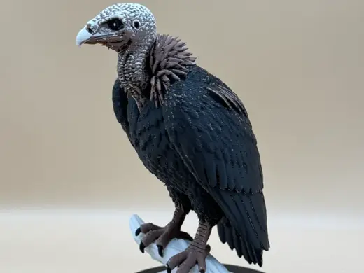 Dusk Watch Vulture