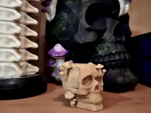 The Blooming Hollow - Mushroom Skull