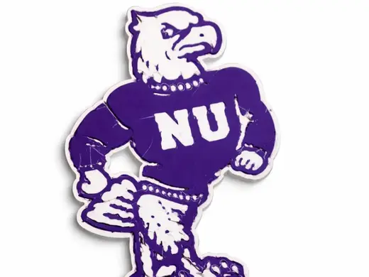 NIAGRA UNIVERSITY LOGO